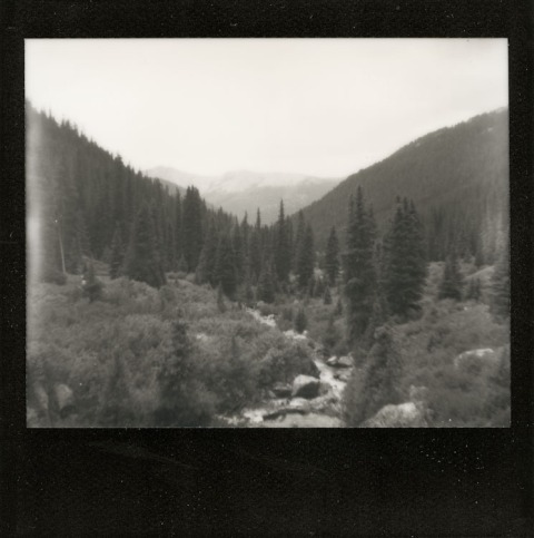 Photo: Synthia Goode - Lost Man Loop Trail - Spectra SE - Impossible Project Black Frame PZ600