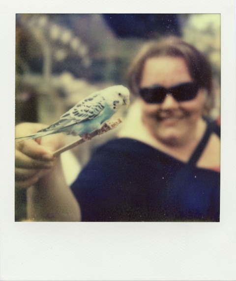 PolaWalk at the Zoo - Impossible Project PX-70 COOL - Polaroid Sonar SX-70