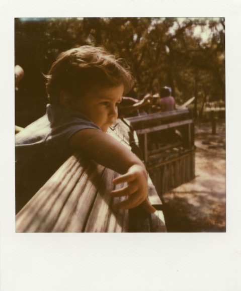 PolaWalk at the Zoo - Impossible Project PX-680 CP - Polaroid SLR680