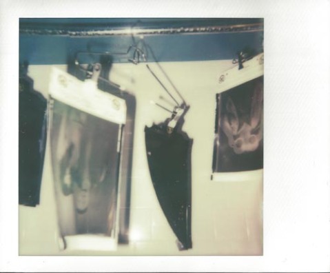 Photo: Adriana Salazar - Impossible Project PX-70 CP